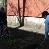 Субботник